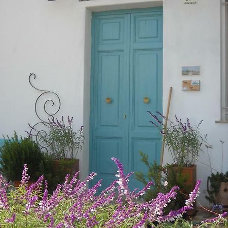 알타무라 Giardino Della Moscatella B&B 외부 사진