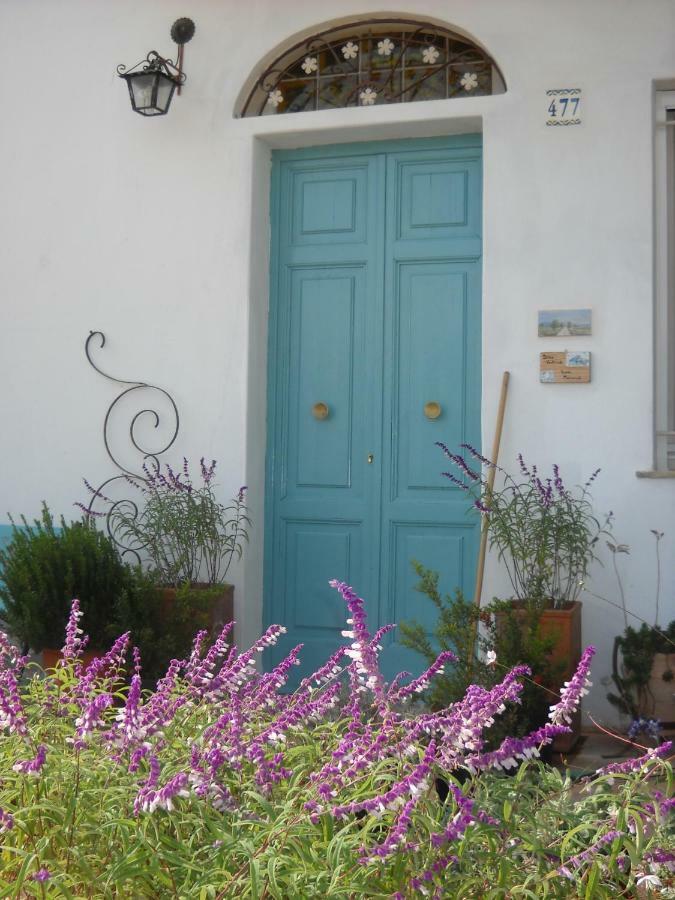 알타무라 Giardino Della Moscatella B&B 외부 사진