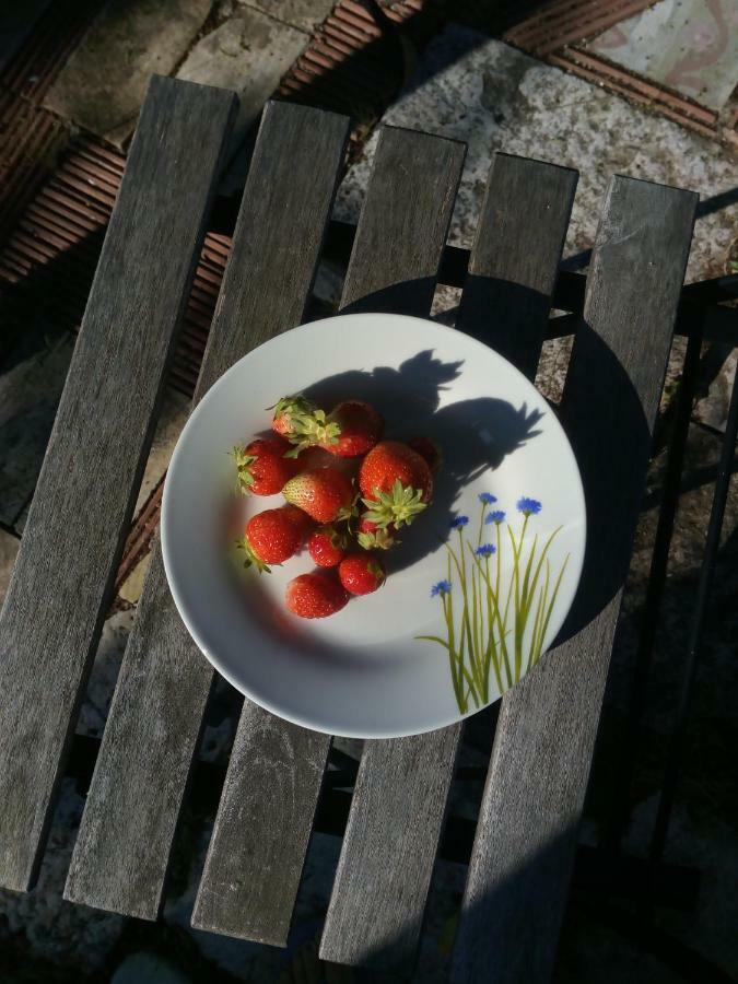 알타무라 Giardino Della Moscatella B&B 외부 사진