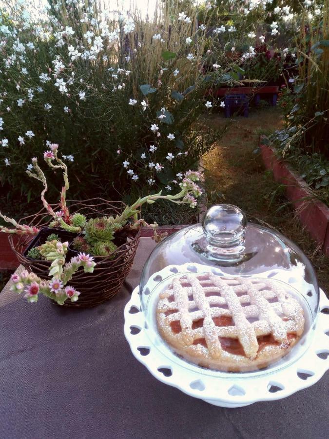 알타무라 Giardino Della Moscatella B&B 외부 사진