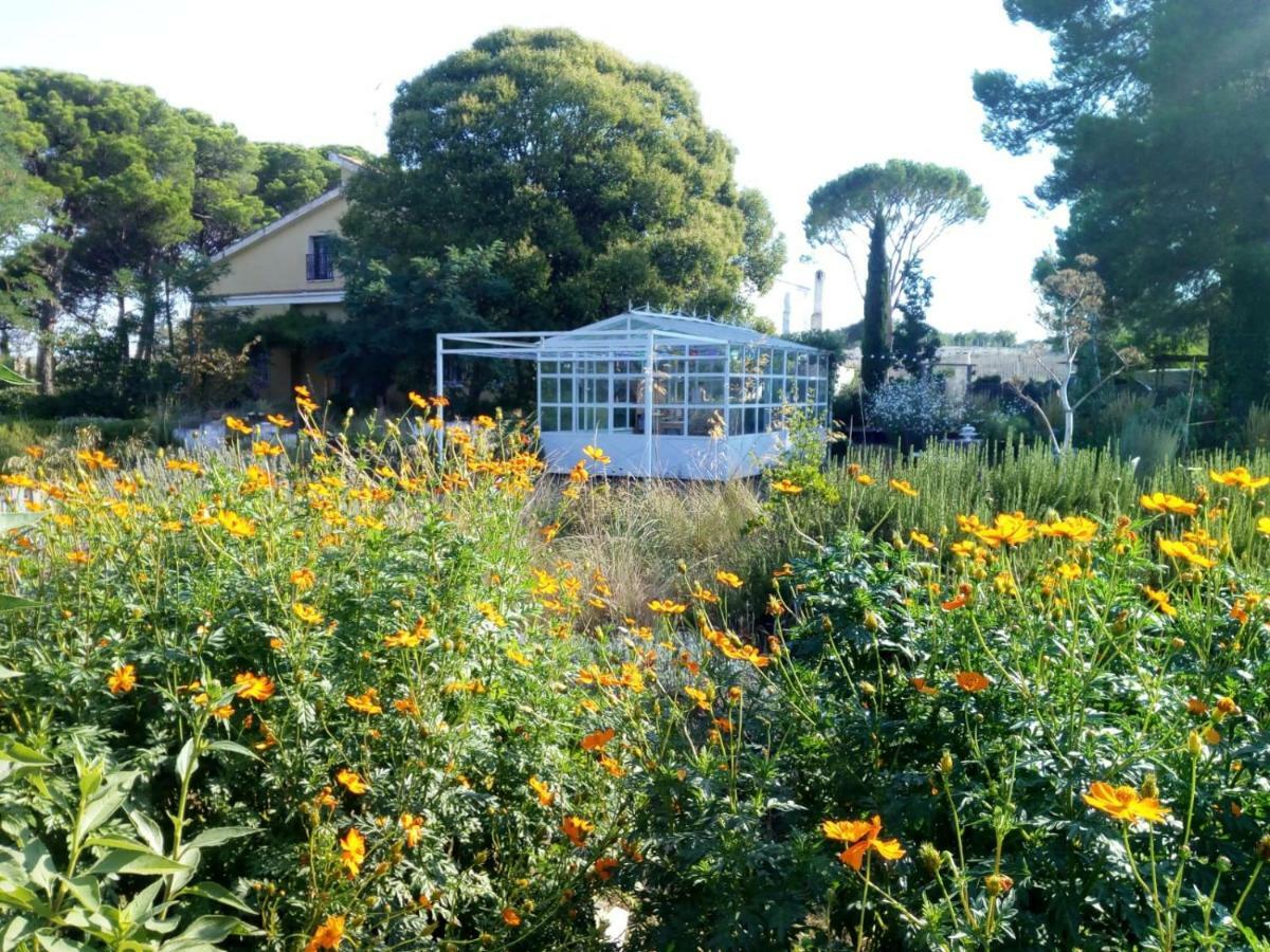 알타무라 Giardino Della Moscatella B&B 외부 사진