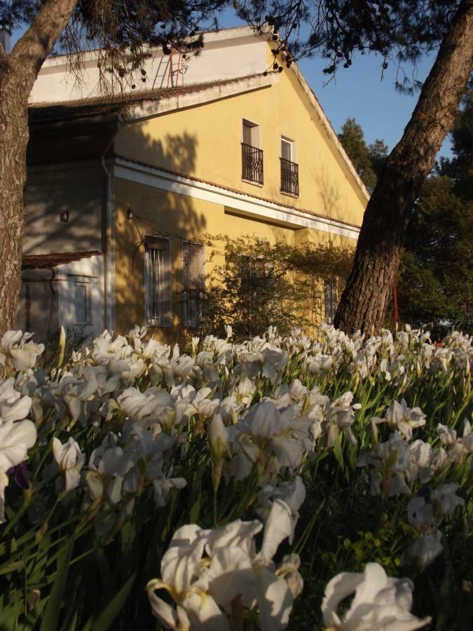 알타무라 Giardino Della Moscatella B&B 외부 사진